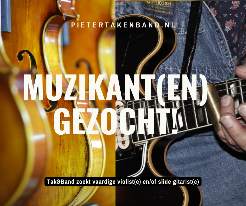 Gezocht: violist en/of slide gitarist&nbsp;(m/v)
