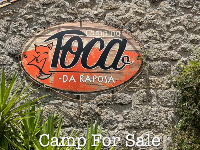 New song: Camp For&nbsp;Sale